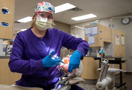 dental student at college with mannikin